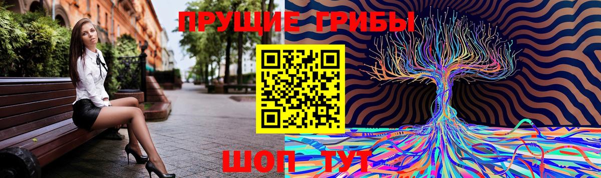 Галлюциногенные грибы Psilocybe  Вход с VPN  Галлюциногенные грибы мицелий  Кувандык 